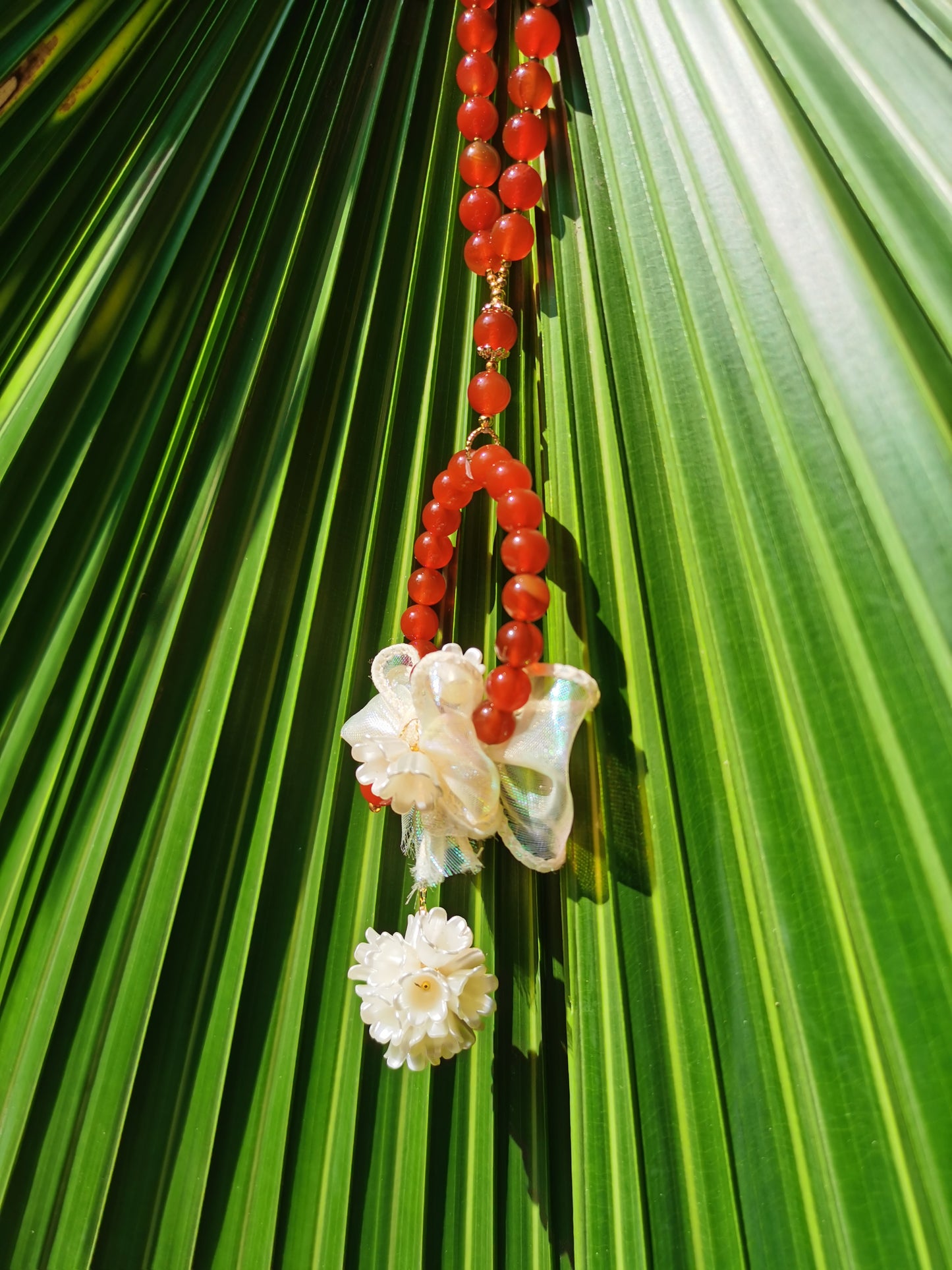 #P01 Passionate Hanging