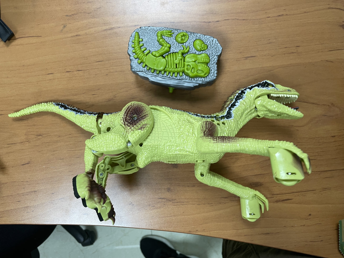 D008 2.4G Remote Raptive Dragon