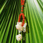 #P01 Passionate Hanging